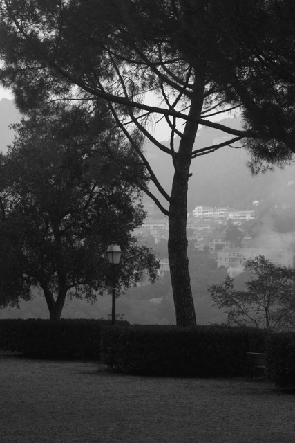 IMG_0857bw.jpg