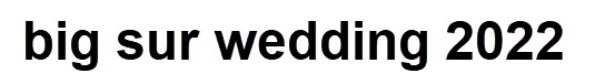big sur wedding 2022
